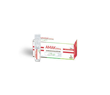 AMAK 500MG INJECTION
