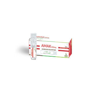 AMAK 250MG INJECTION